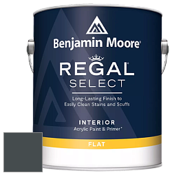 Benjamin Moore 547 Regal Select Waterborne Interior Flat Finish краска цвет NCS S 8005-B20G 
