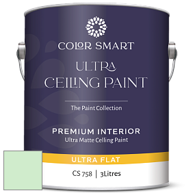 COLOR SMART CS 758 ULTRA CEILING PAINT ультраматовая краска цвет 2033-60 Mantis Green