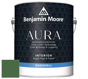 Benjamin Moore Aura 524 Waterborne Interior Eggshell Finish краска цвет NCS S 5040-G20Y 