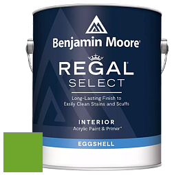 Benjamin Moore 549 Regal Select Waterborne Interior Eggshell Finish краска цвет 2030-20 Tropical Seaweed Green