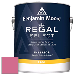 Benjamin Moore 547 Regal Select Waterborne Interior Flat Finish краска цвет NCS S 1060-R20B 