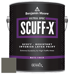 Benjamin Moore 484 Ultra Spec SCUFF-X Interior Matte Finish краска цвет NCS S 7005-G80Y 