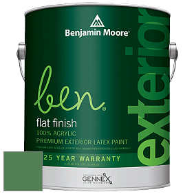Benjamin Moore Ben 541 Waterborne Exterior Flat Finish краска цвет 2036-20 Irish Moss