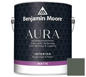 Краска Benjamin Moore Aura Interior Paint - Matte (522) цвет 448 Dakota Shadow