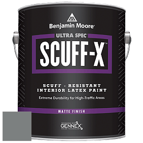 Benjamin Moore 484 Ultra Spec SCUFF-X Interior Matte Finish краска цвет NCS S 5502-B50G 
