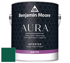 Benjamin Moore Aura 522 Interior Paint - Matte краска цвет NCS S 5540-B90G 