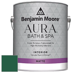 Benjamin Moore Aura 532 Bath & Spa Waterborne Interior Paint Matte Finish краска цвет NCS S 5540-G 
