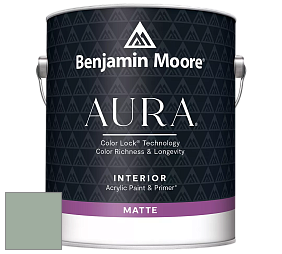 Benjamin Moore Aura 522 Interior Paint - Matte краска цвет NCS S 3010-G10Y 