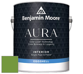 Benjamin Moore Aura 524 Waterborne Interior Eggshell Finish краска цвет NCS S 2070-G30Y 