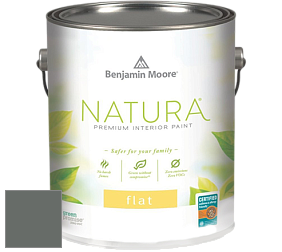 Benjamin Moore 512 Natura Interior Flat Finish матовая краска цвет 1568 Quarry Rock