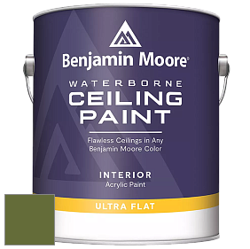 Benjamin Moore 508 Waterborne Ceiling Paint краска для потолков цвет NCS S 4550-G40Y 