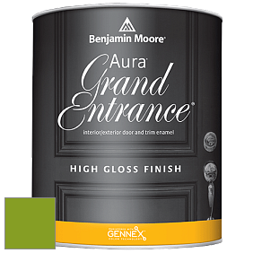 Benjamin Moore Aura 148 Grand Entrance High Gloss эмаль цвет 2028-10 Iguana Green