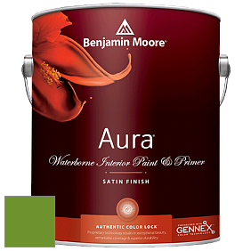 Benjamin Moore Aura 526 Waterborne Interior Satin Finish покрытие цвет 2029-10 Basil Green