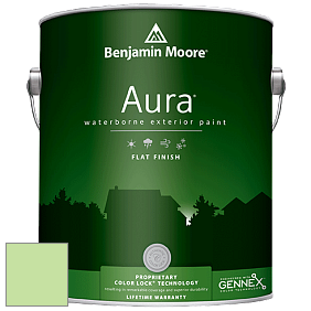 Benjamin Moore Aura 629 Waterborne Exterior Flat Finish краска цвет 2030-50 Shimmering Lime