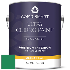 COLOR SMART CS 758 ULTRA CEILING PAINT ультраматовая краска цвет 2039-20 Emerald Isle