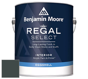 Benjamin Moore 549 Regal Select Waterborne Interior Eggshell Finish краска цвет 2050-10 Salamander