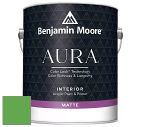 Benjamin Moore Aura 522 Interior Paint - Matte краска цвет 2033-30 Fresh Scent Green
