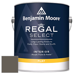 Benjamin Moore 547 Regal Select Waterborne Interior Flat Finish краска цвет NCS S 7005-Y 
