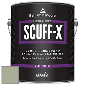 Benjamin Moore 484 Ultra Spec SCUFF-X Interior Matte Finish краска цвет NCS S 3010-G50Y 