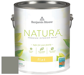 Benjamin Moore 512 Natura Interior Flat Finish матовая краска цвет NCS S 5005-G50Y 
