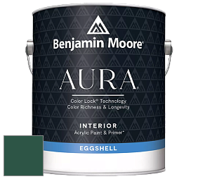 Benjamin Moore Aura 524 Waterborne Interior Eggshell Finish краска цвет RAL 6028 