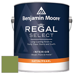 Benjamin Moore 550 Regal Select Waterborne Interior Pearl Finish краска цвет NCS S 3050-G40Y 