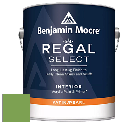 Benjamin Moore 550 Regal Select Waterborne Interior Pearl Finish краска цвет NCS S 2060-G30Y 