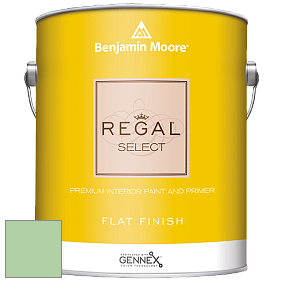 Benjamin Moore 547 Regal Select Waterborne Interior Flat Finish краска цвет NCS S 1030-G20Y 