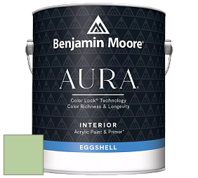 Benjamin Moore Aura 524 Waterborne Interior Eggshell Finish краска цвет NCS S 1030-G30Y 