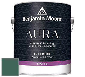 Benjamin Moore Aura 522 Interior Paint - Matte краска цвет 651 Brazilian Rainforest