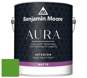 Benjamin Moore Aura 522 Interior Paint - Matte краска цвет 2032-10 Neon Green