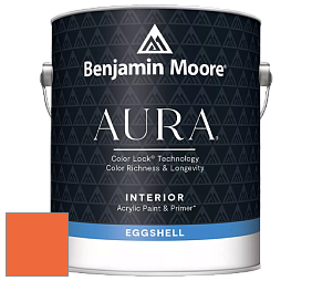 Benjamin Moore Aura 524 Waterborne Interior Eggshell Finish краска цвет NCS S 0580-Y60R 