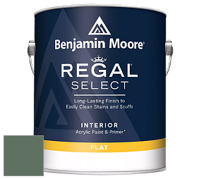 Benjamin Moore 547 Regal Select Waterborne Interior Flat Finish краска цвет 637 Gothic Green