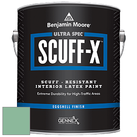 Benjamin Moore 485 Ultra Spec SCUFF-X Interior Eggshell Finish краска цвет NCS S 2030-G 