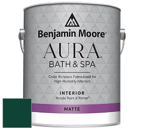 Benjamin Moore Aura 532 Bath & Spa Waterborne Interior Paint Matte Finish краска цвет RAL 6005 