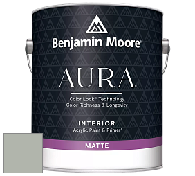 Benjamin Moore Aura 522 Interior Paint - Matte краска цвет 2138-50 Misted Green