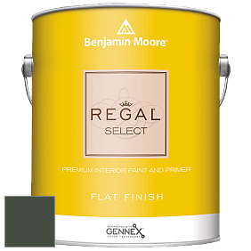 Benjamin Moore 547 Regal Select Waterborne Interior Flat Finish краска цвет NCS S 8010-G30Y 