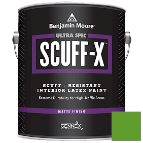 Краска Ultra Spec SCUFF-X Interior Matte Finish (484) цвет 2030-10 Lizard Green