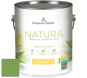 Benjamin Moore 512 Natura Interior Flat Finish матовая краска цвет NCS S 2060-G30Y 