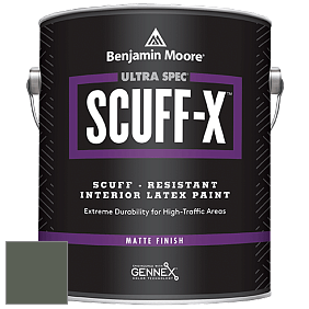 Benjamin Moore 484 Ultra Spec SCUFF-X Interior Matte Finish краска цвет NCS S 7010-G30Y 