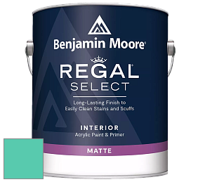 Benjamin Moore 548 IRegal Select Interior Paint - Matte краска цвет NCS S 1050-B80G 