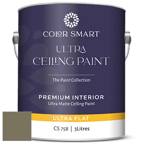 COLOR SMART CS 758 ULTRA CEILING PAINT ультраматовая краска цвет 2142-30 Mountain Moss