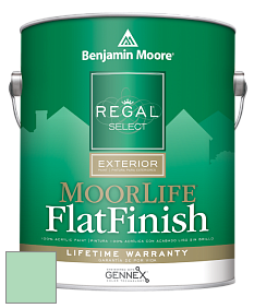 Benjamin Moore W105 Regal Select Exterior Paint-MoorLife Flat Finish краска цвет 2036-50 Marina Bay
