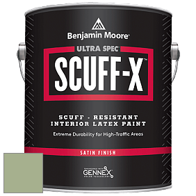 Benjamin Moore 486 Ultra Spec SCUFF-X Interior Satin Finish краска цвет AF-450 