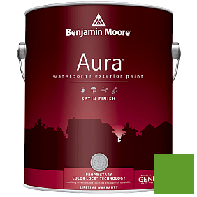 Краска Aura Waterborne Exterior Satin Finish (631) цвет 2030-10 Lizard Green