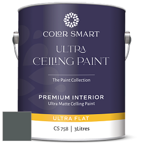 COLOR SMART CS 758 ULTRA CEILING PAINT ультраматовая краска цвет 2122-10 Dark Pewter