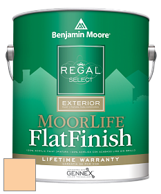 Benjamin Moore W105 Regal Select Exterior Paint-MoorLife Flat Finish краска цвет 2016-50 Melon Popsicle