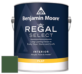 Benjamin Moore 547 Regal Select Waterborne Interior Flat Finish краска цвет NCS S 5540-G20Y 
