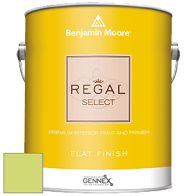 Benjamin Moore 547 Regal Select Waterborne Interior Flat Finish краска цвет NCS S 0550-G50Y 