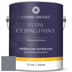 COLOR SMART CS 758 ULTRA CEILING PAINT ультраматовая краска цвет 2119-40 Silver Streak